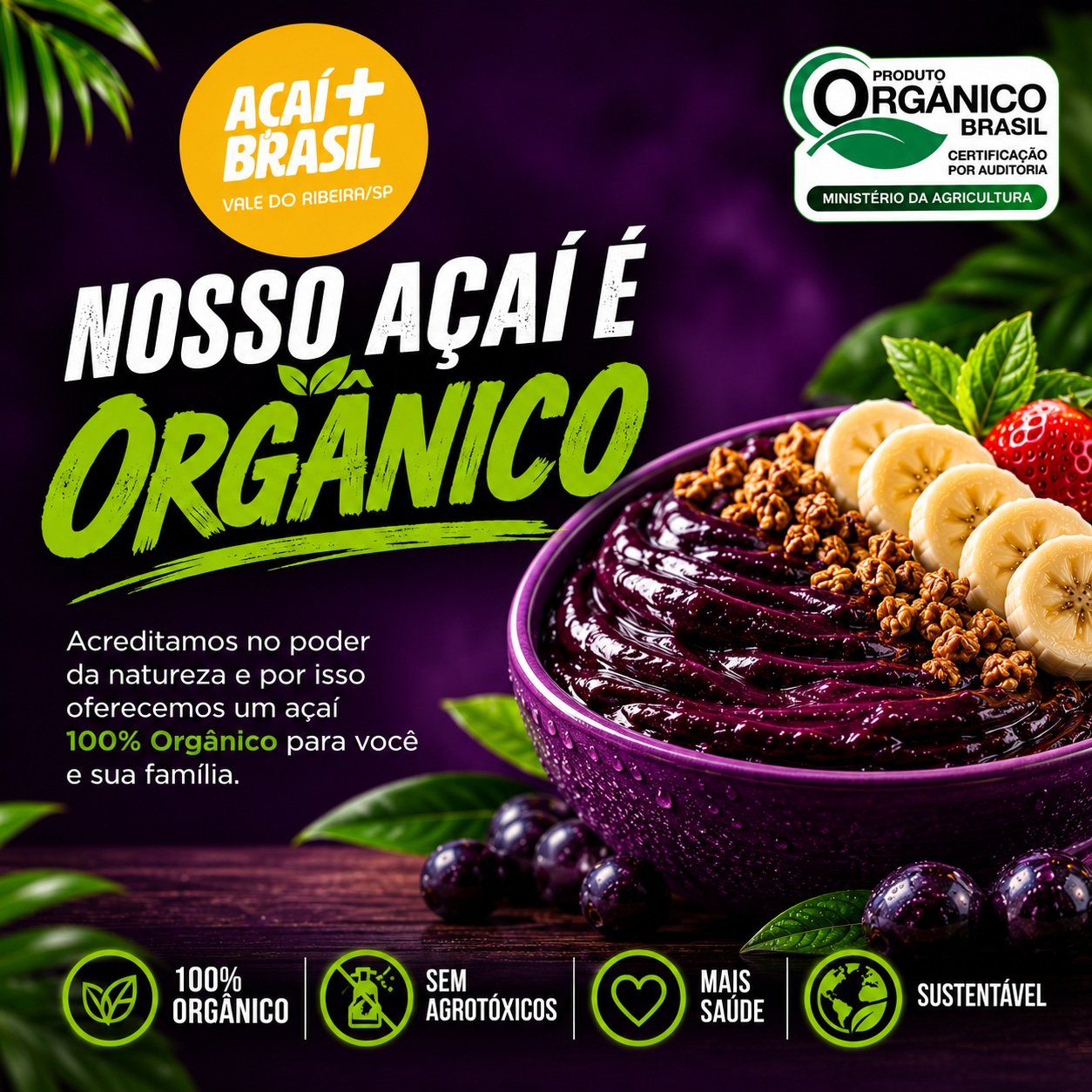 Publicação Mais Brasil Açaí