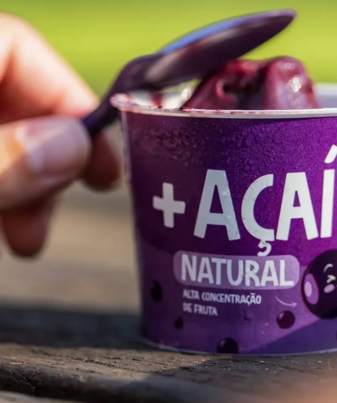 Publicação Mais Brasil Açaí