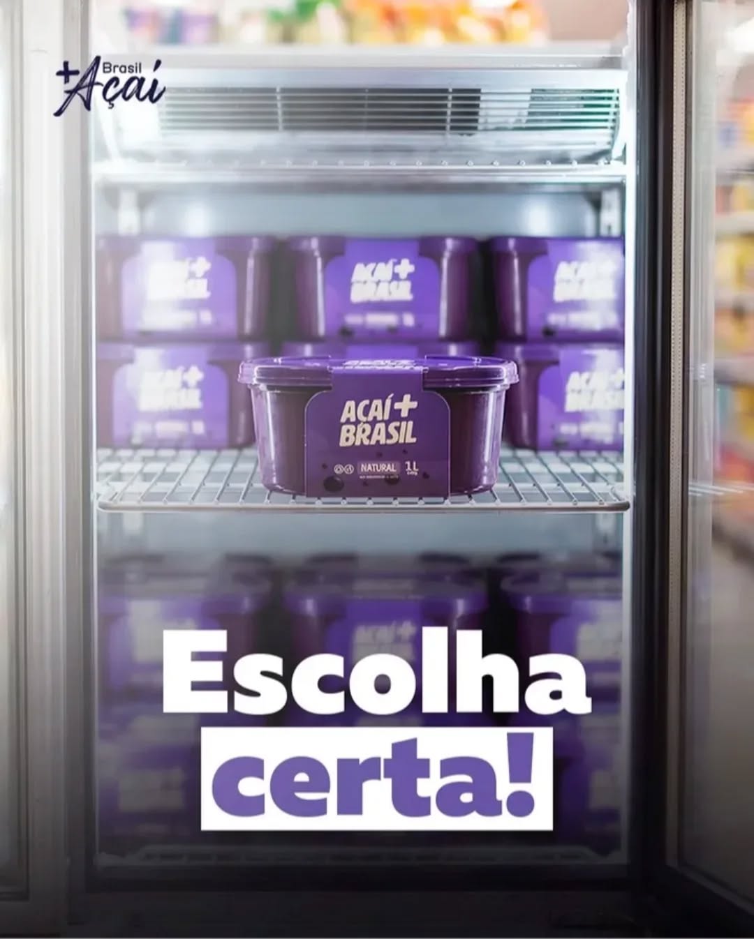 Publicação Mais Brasil Açaí